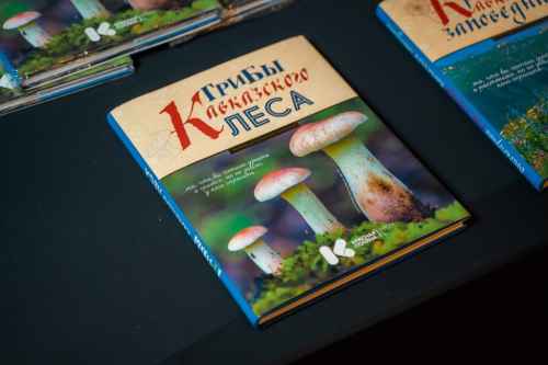 Новости туризма - Курорт Красная Поляна представил книгу «Грибы Кавказского леса»